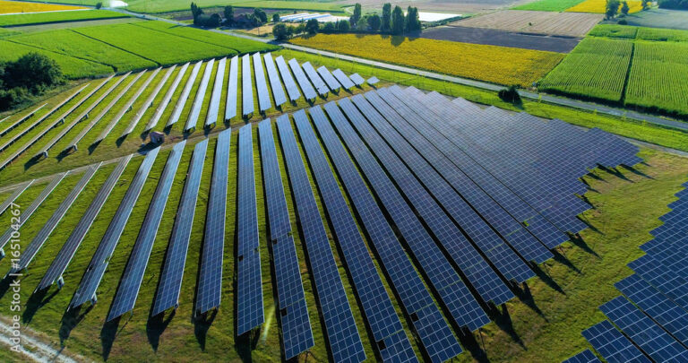 Lire la suite à propos de l’article Discover the Wonders of OceanWP&rsquo;s Scuba Demo for Your Diving Website